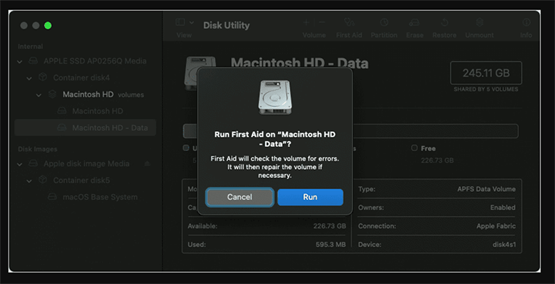 Select your disk and run First Aid again