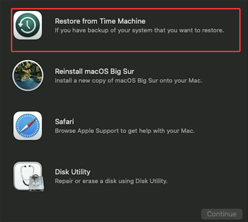 Restore from Time Machine Snapshot