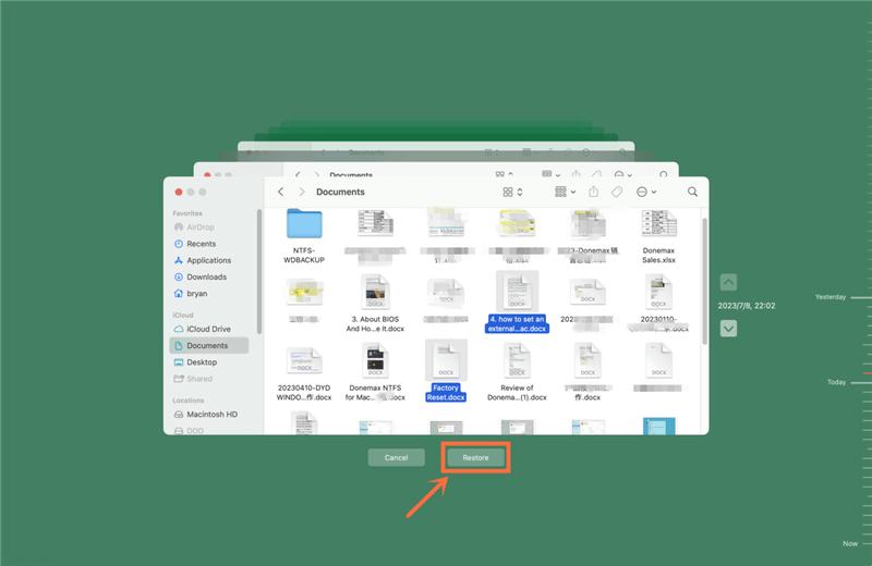 Restore Selected Files