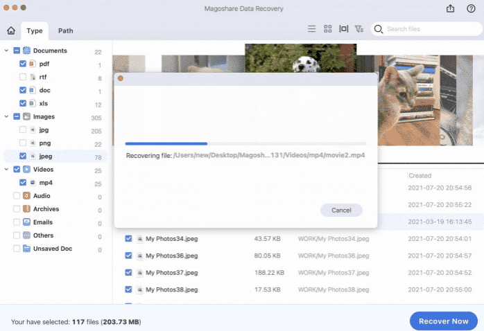 Magoshare Data Recovery for Mac