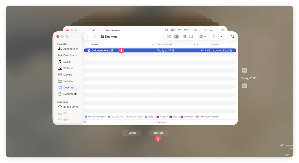 recover unsaved/lost pdf files on Mac