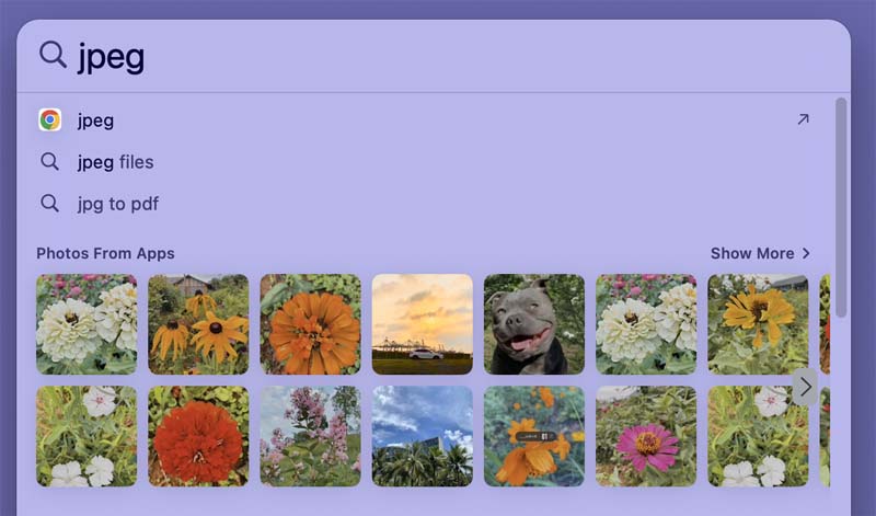 Search Using Spotlight