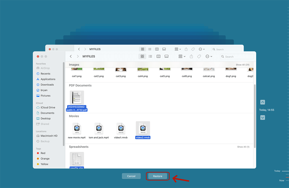 Select the files you want to recover and click Restore