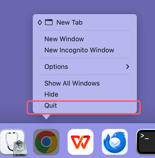 Quit The Application