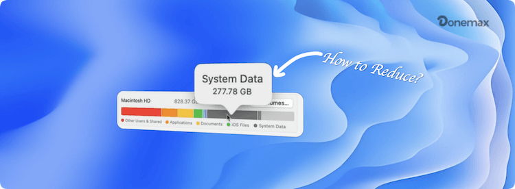 reduce System Data on Mac