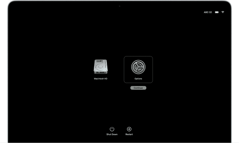 choose Options and click Continue button
