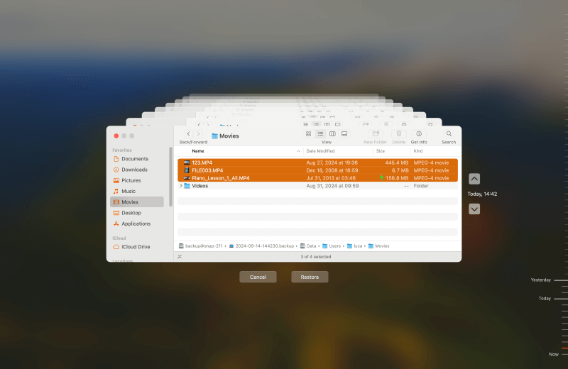 Click Restore after selecting the file