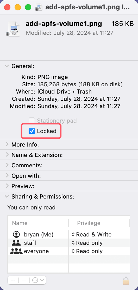 check if the file is locked