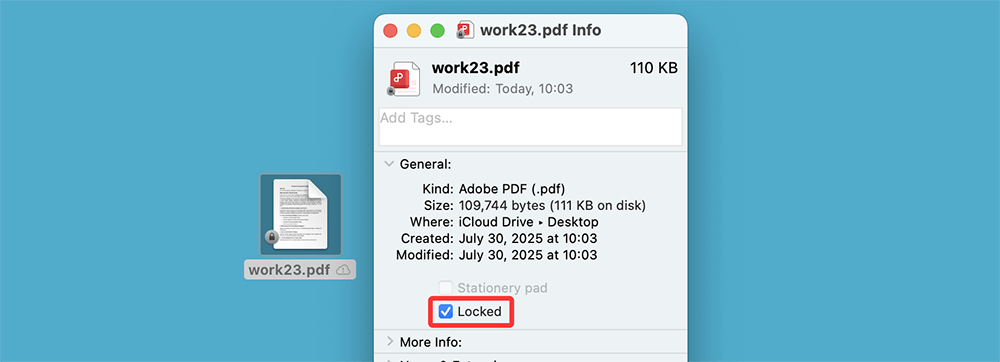 What If the File Is Locked