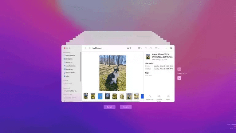 recover deleted videos on Mac