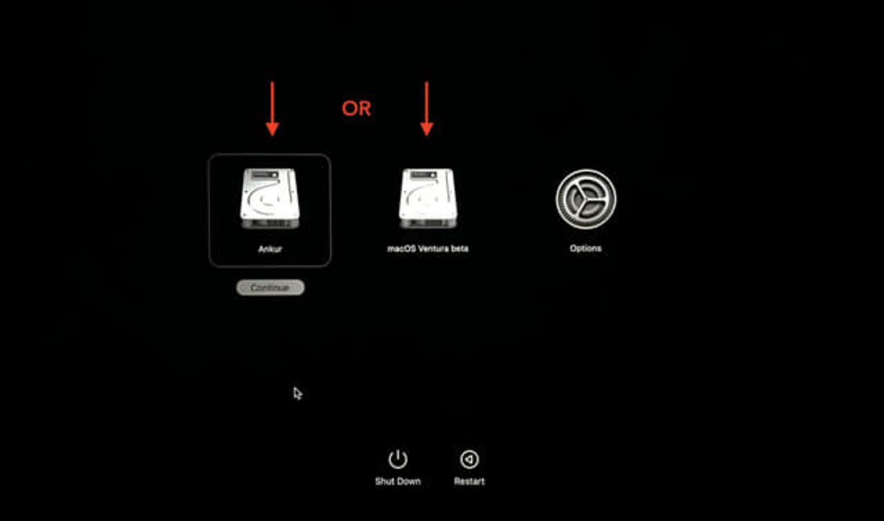 Verify the Clone Backup