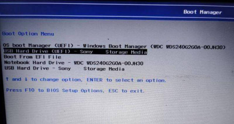 Boot Device Options