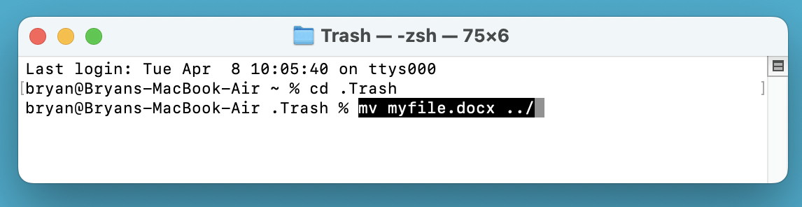 Fix Mac Trash Put Back Not Working