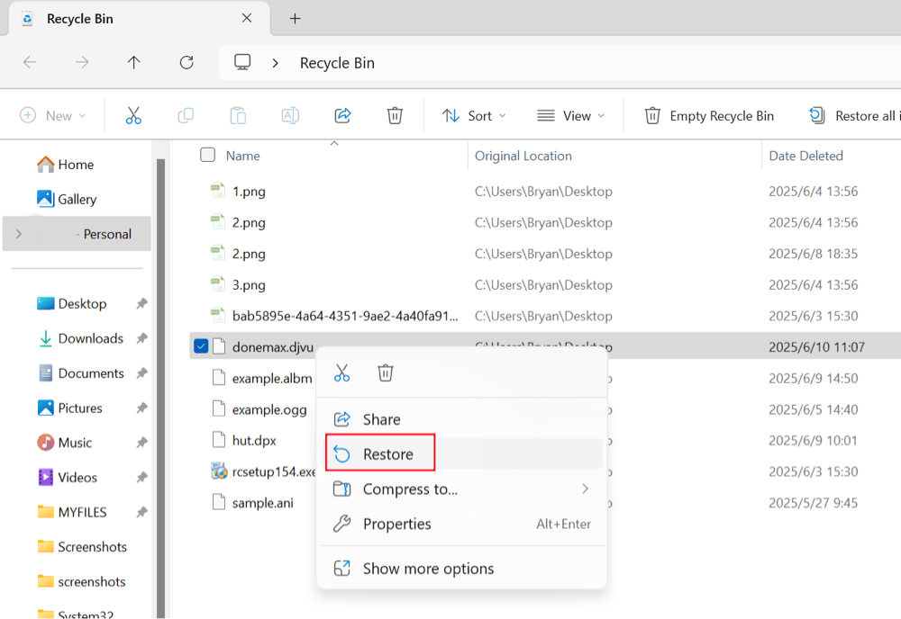 recover deleted DjVu files