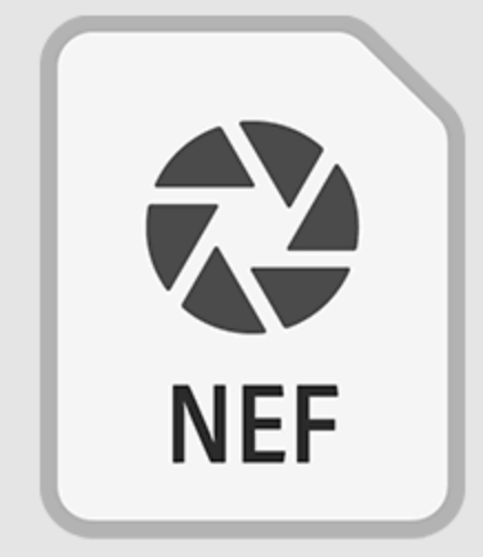 recovering deleted NEF files