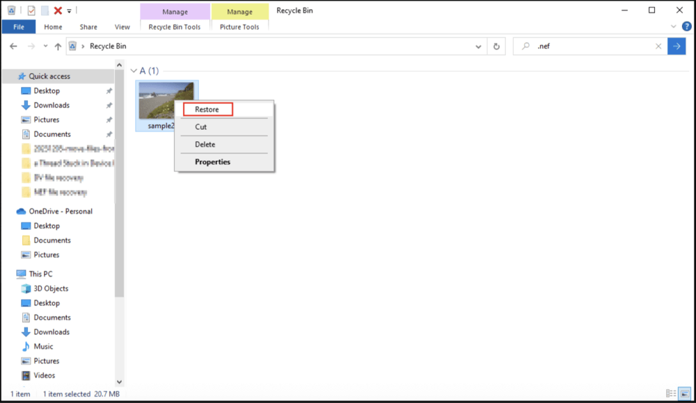 recovering deleted NEF files