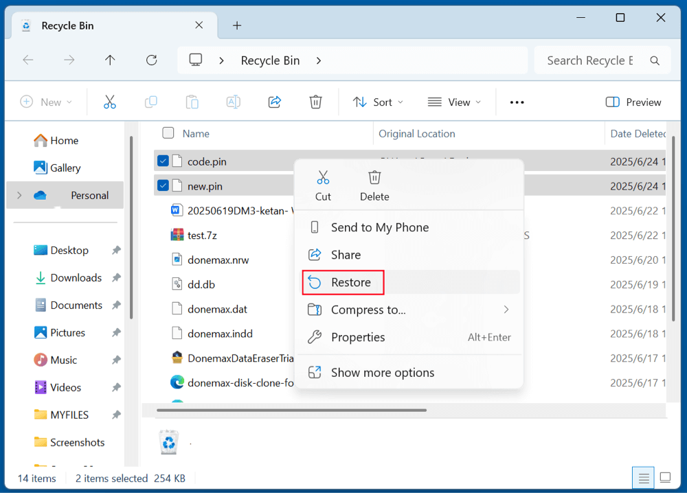 recover deleted PIN files