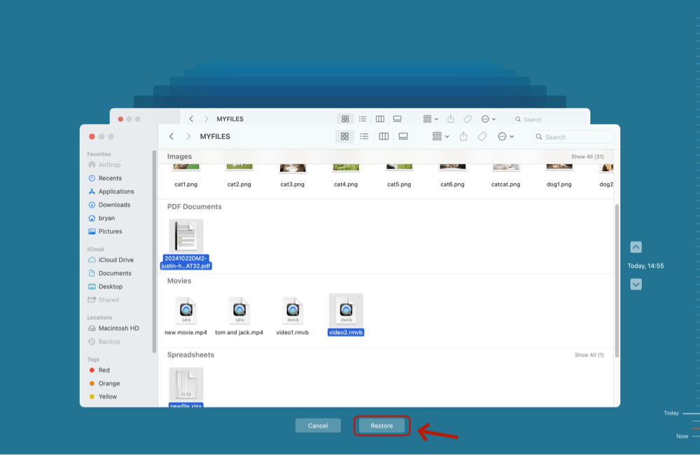 recover deleted PLA file