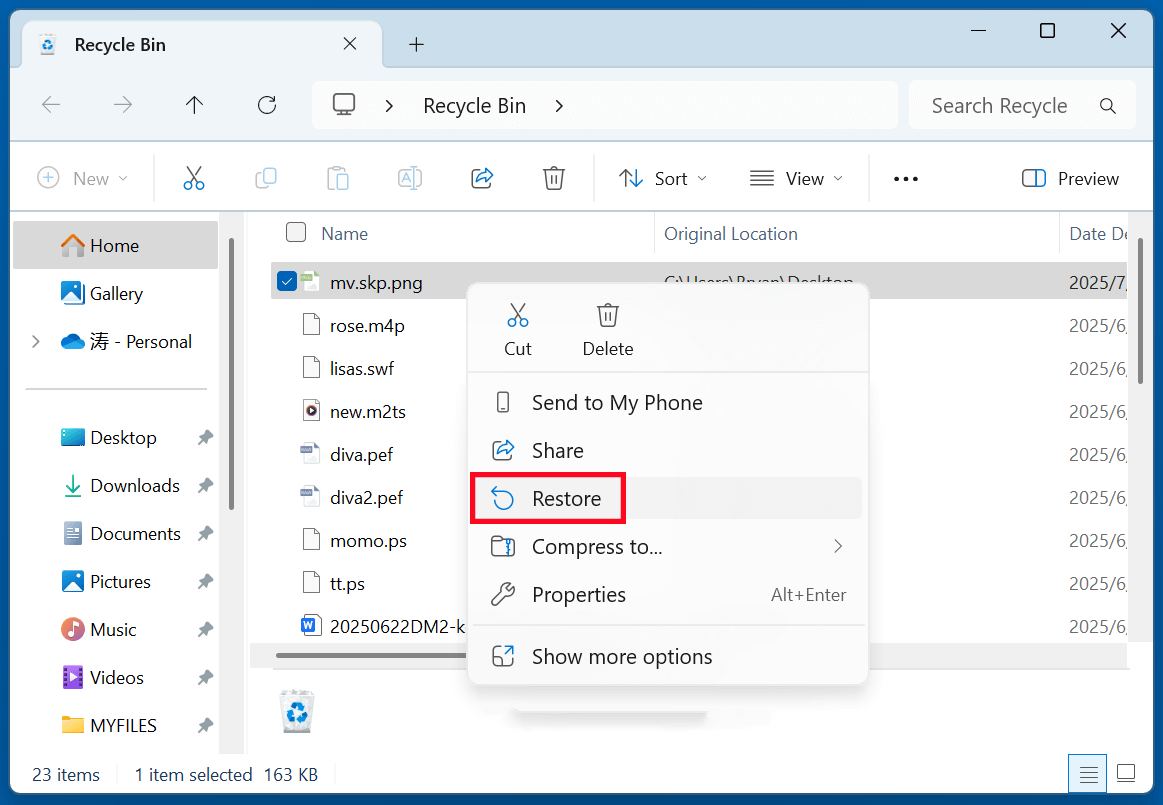 recover deleted SKP files
