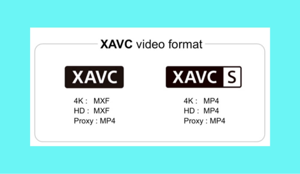 recover deleted XAVC files