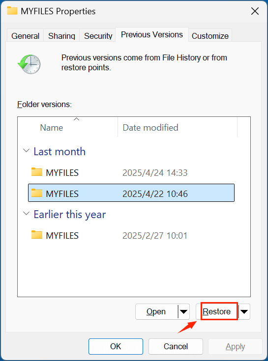 emptied recycle bin recovery