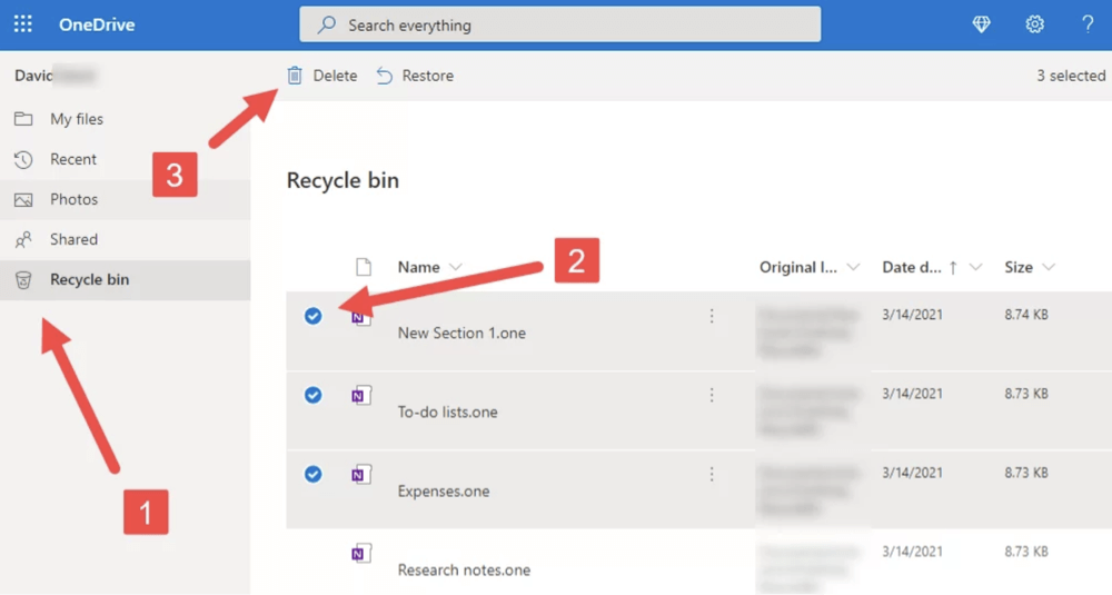 emptied recycle bin recovery