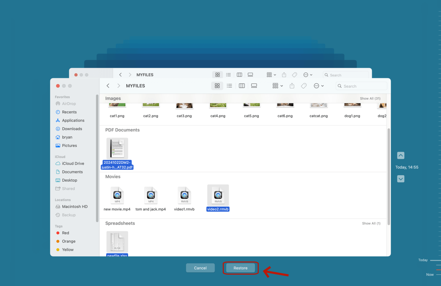 recover replaced files or folders