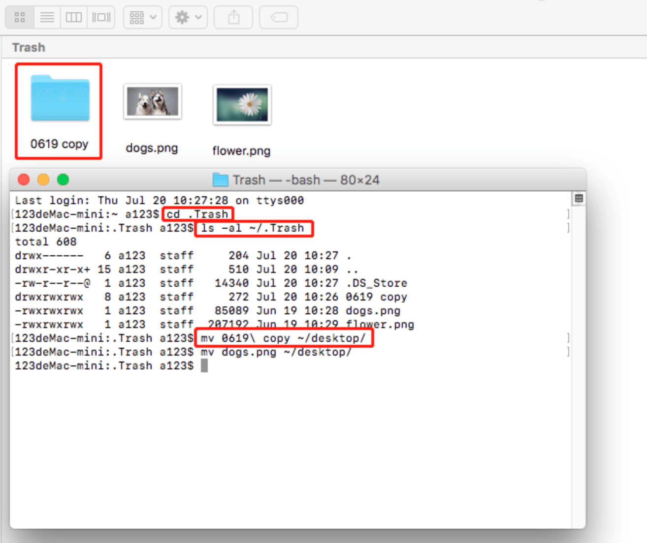 Recycle Bin Recovery