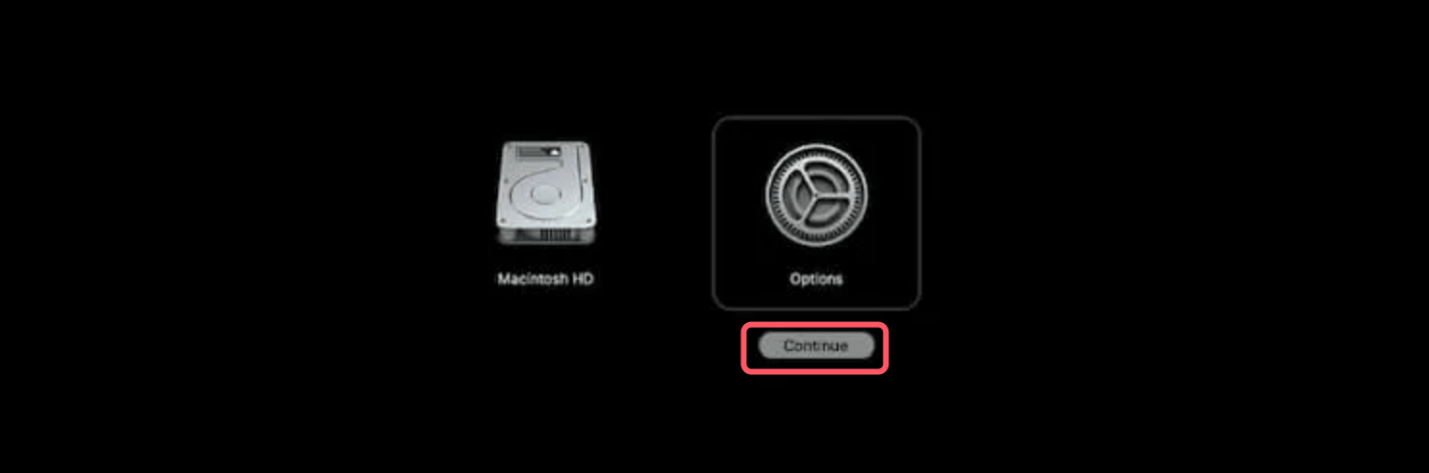 Restoring the Entire System