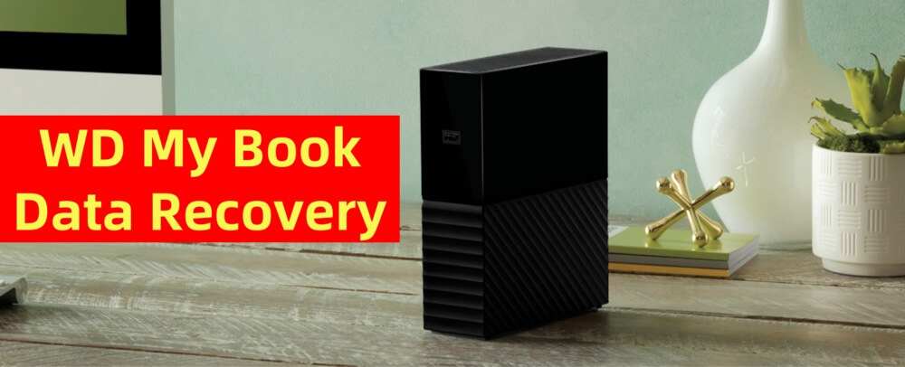 recover lost data from a WD My Book drive