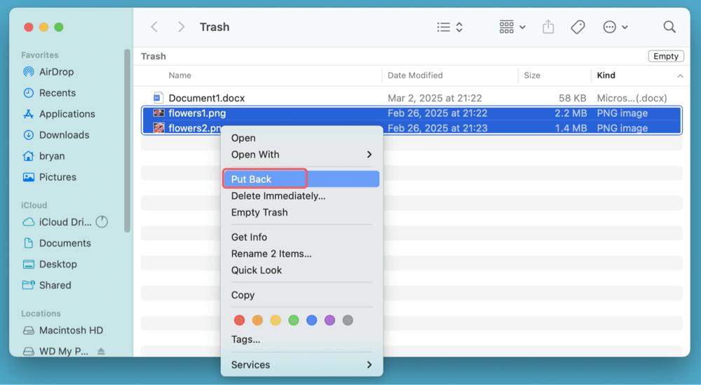 to Recover Lost Data from WD My Passport on Mac