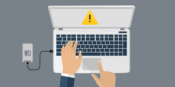 WD portable drive is not showing up