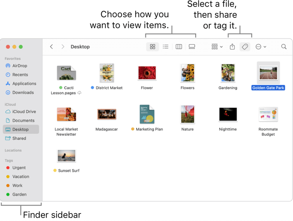 Mac File Explorer