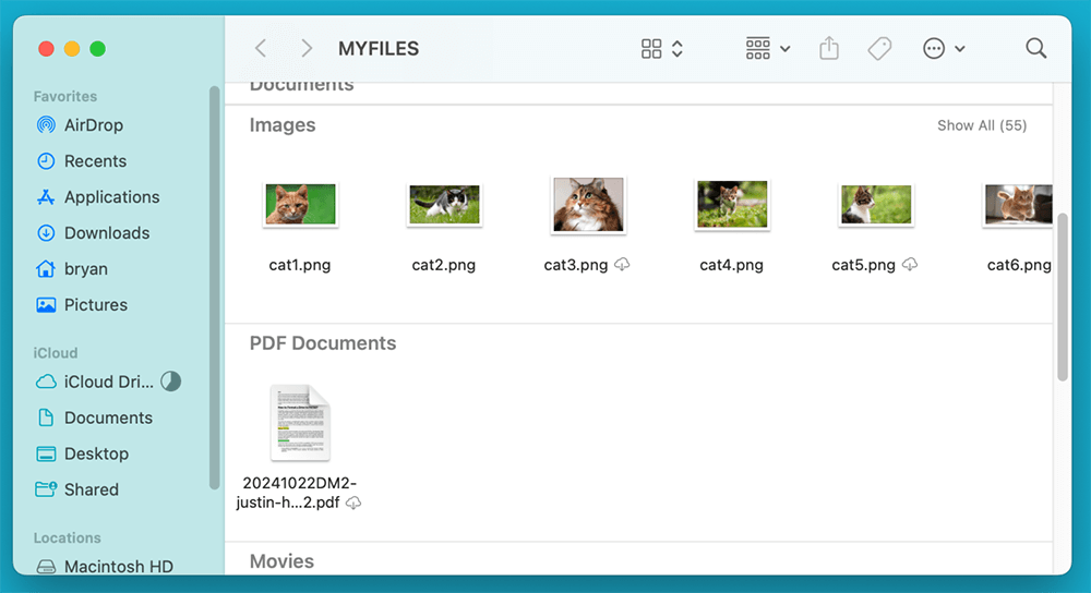 Features of Mac's File Explorer - Finder