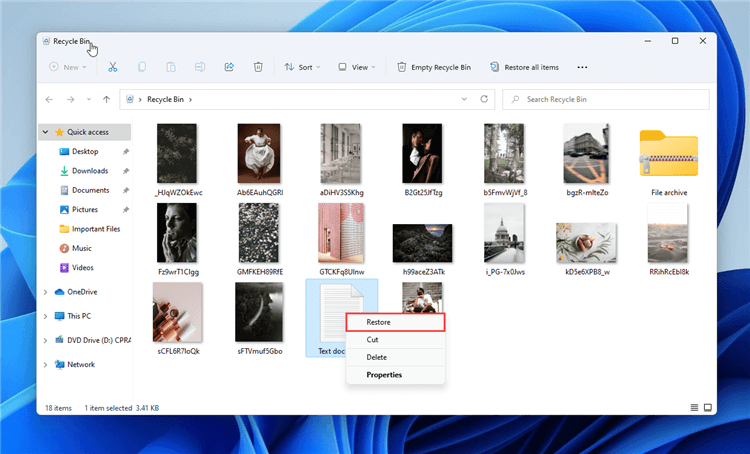 Data Recovery on Windows 11