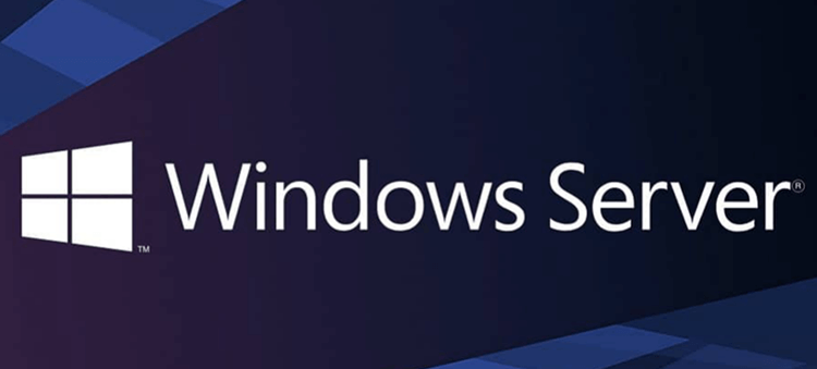 Windows Server 2022 data recovery