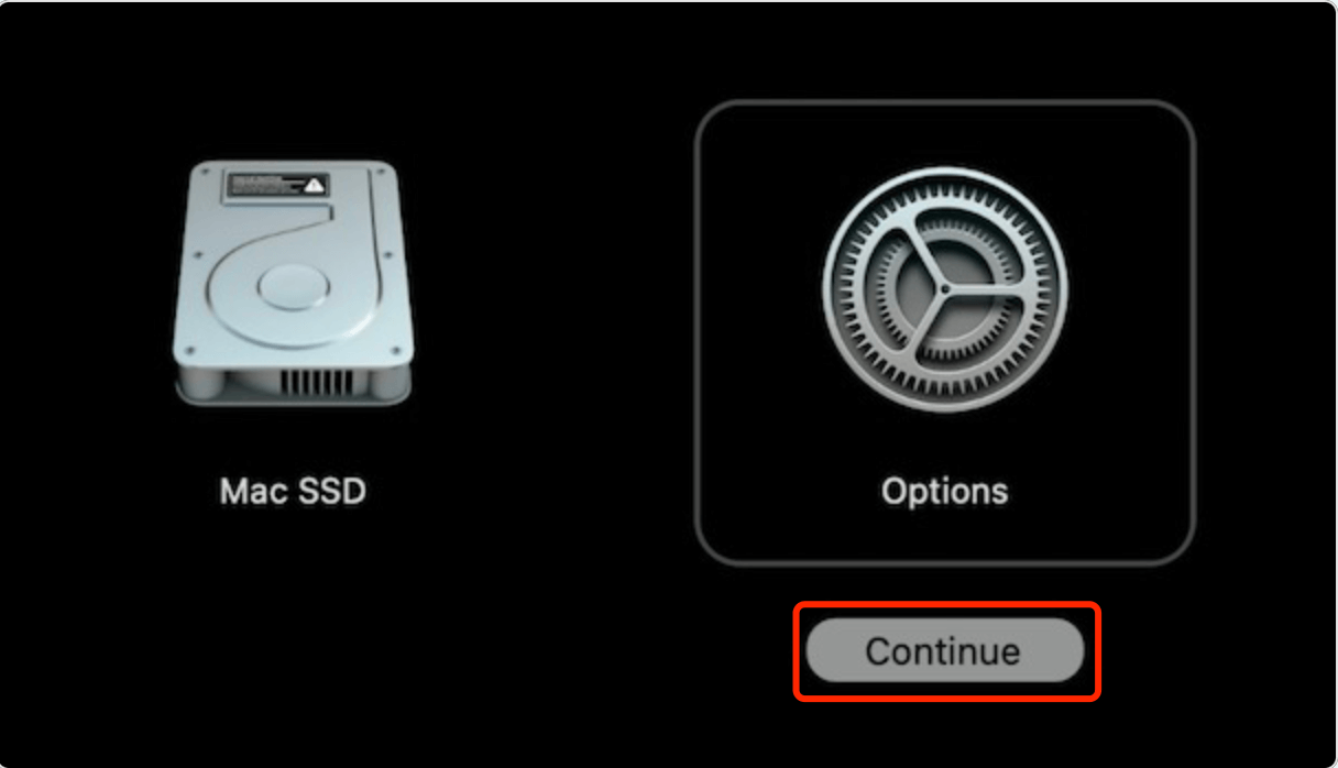 enter macOS Recovery mode