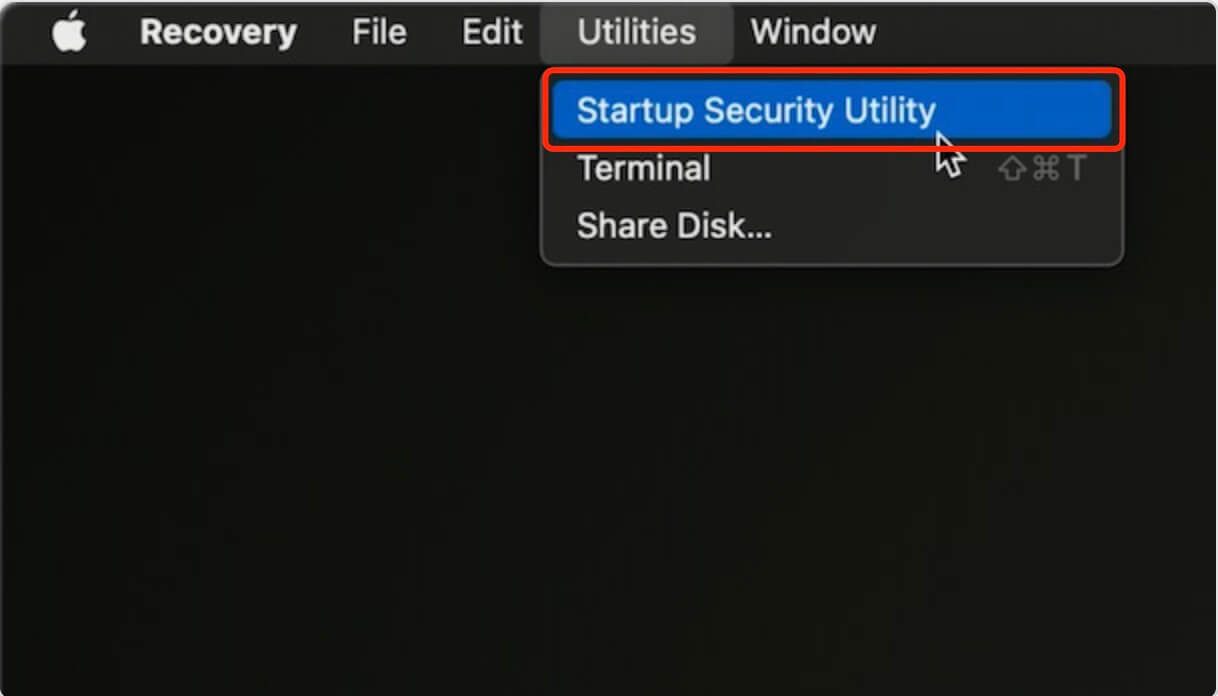 Startup Security Utility